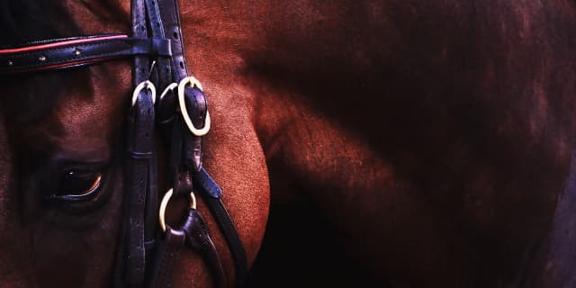 【天保山S予想2021】休み明けアディラート、前走大敗から巻き返しを図る!