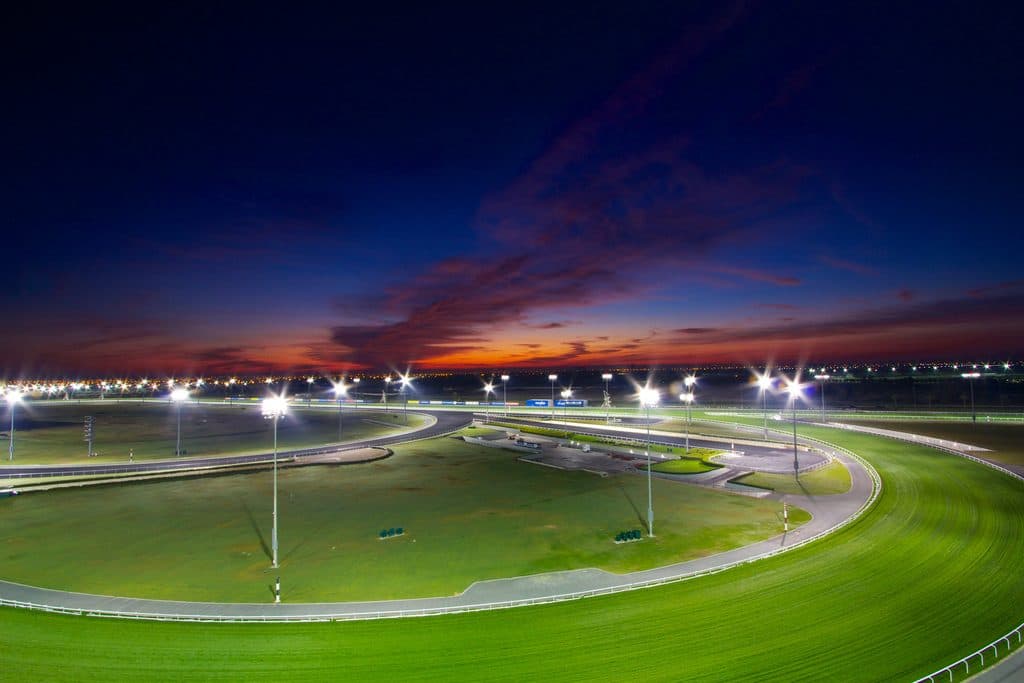 【ドバイターフ2024予想】強豪ロードノースの4連覇阻止へ、ドウデュース筆頭に日本勢4頭出し