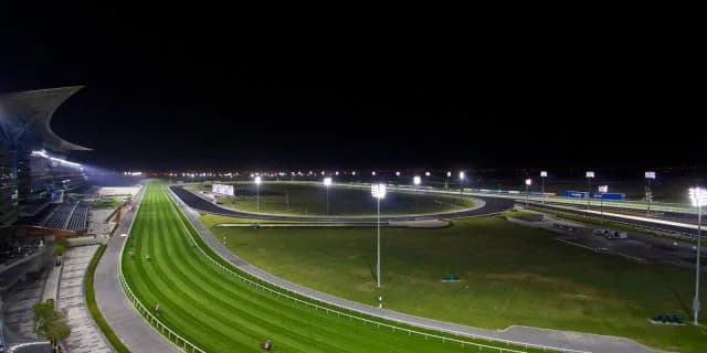 【ドバイターフ2022予想】ヴァンドギャルド、再度の激走に期待!