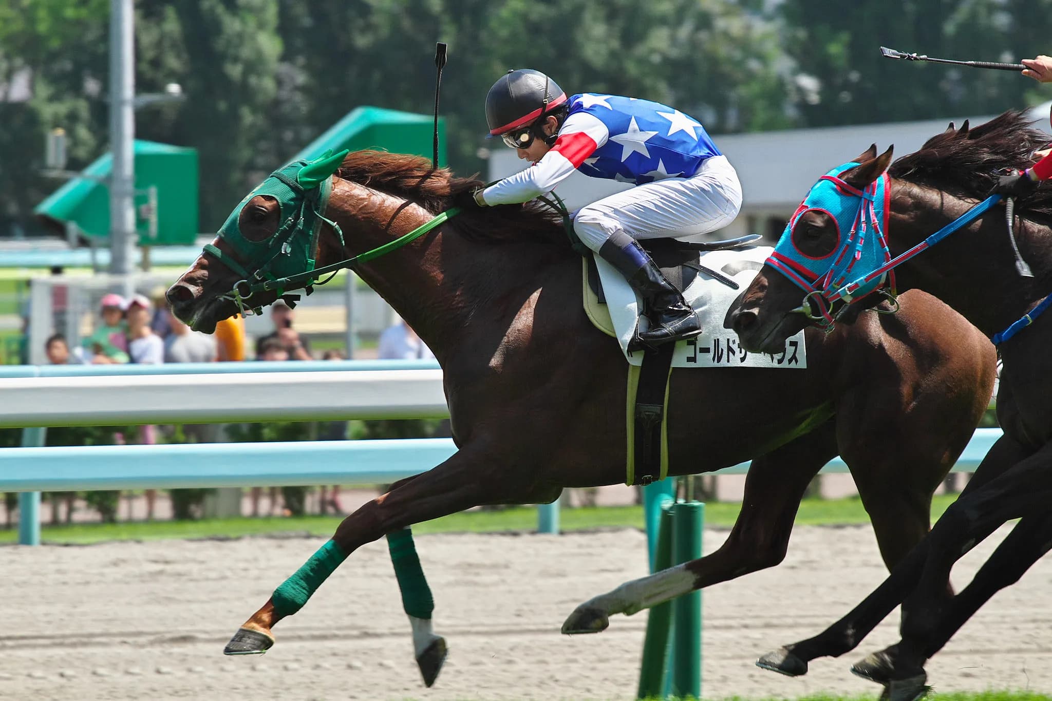 【ダービー卿CT予想2018】連勝血統?スクリーンヒーロー産駒のゴールドサーベラスの重賞初制覇に期待!