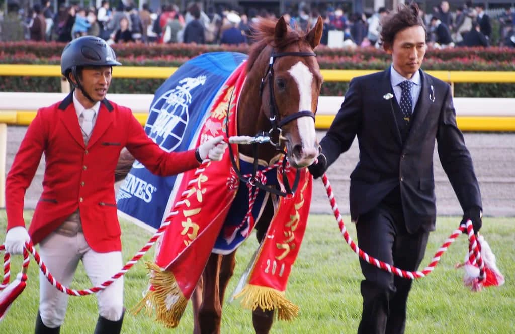 シュヴァルグラン有馬記念で引退、種牡馬へ