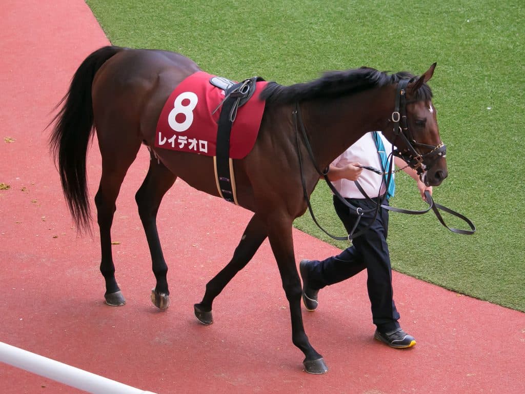 レイデオロ引退、種牡馬に