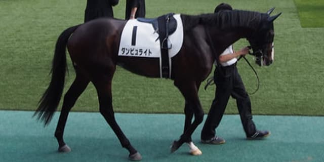 ダンビュライト骨折、3ヶ月以上の休養