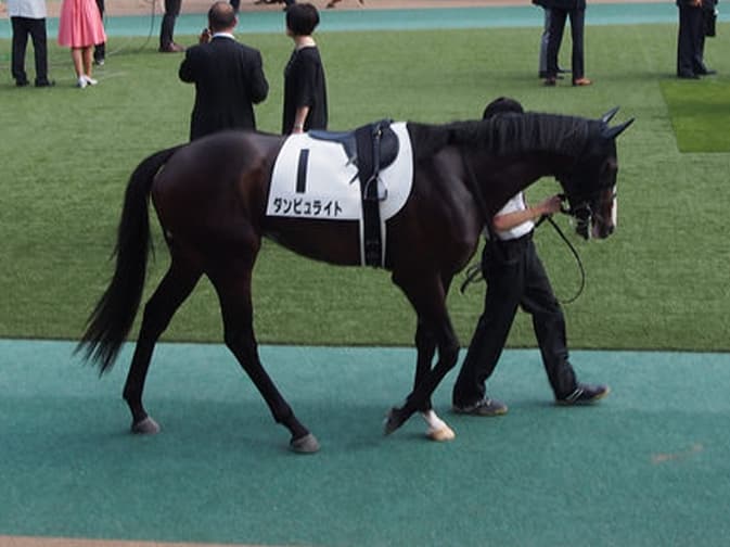 ダンビュライト骨折、3ヶ月以上の休養