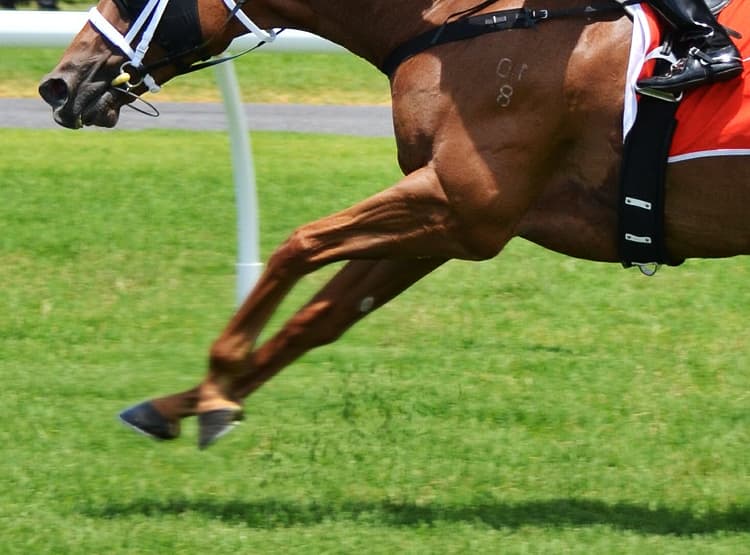 【京都大賞典2018予想】叩き4戦目ブレスジャーニー、末脚そろそろ爆発か