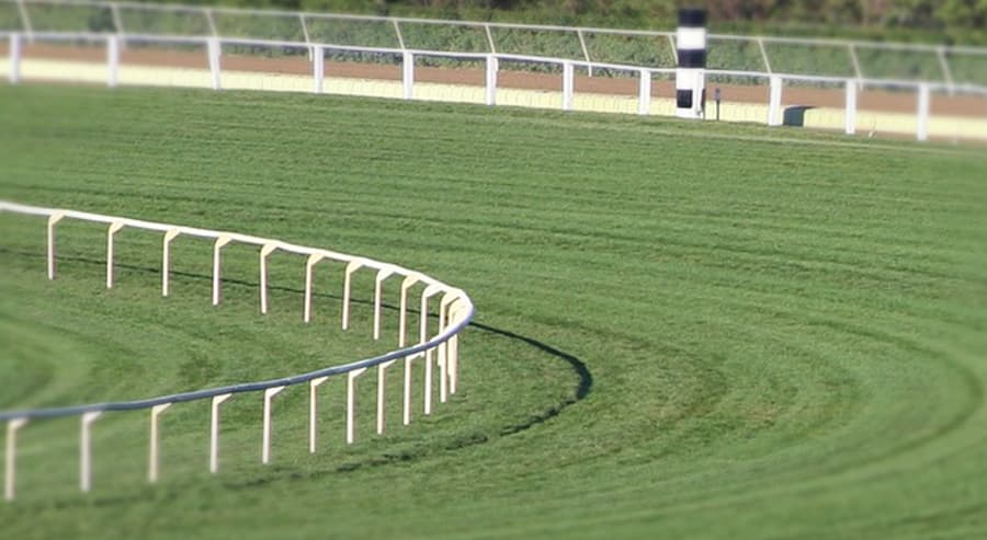【鳴尾記念2018予想】2000m巧者のトリコロールブルー、馬券圏内は確実か?