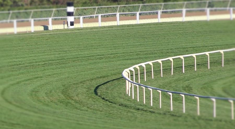 【東京新聞杯2019予想】左回りで見直したい穴馬リライアブルエース