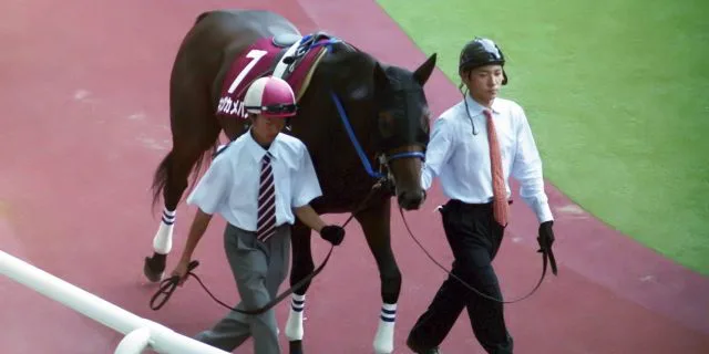 キングカメハメハ、JRA顕彰馬にわずか13票届かず