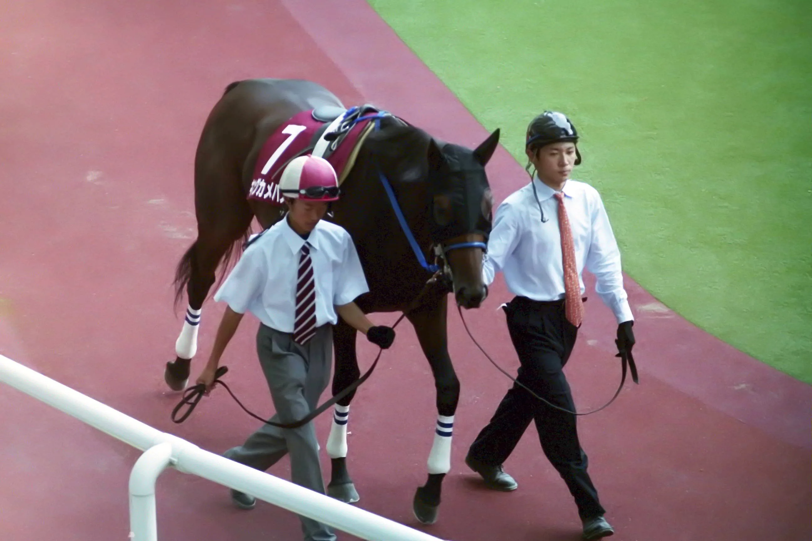 キングカメハメハ、JRA顕彰馬にわずか13票届かず