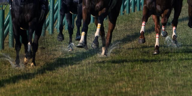 【皐月賞2018予想】当日は雨予報!重馬場の実績がある5頭に注目