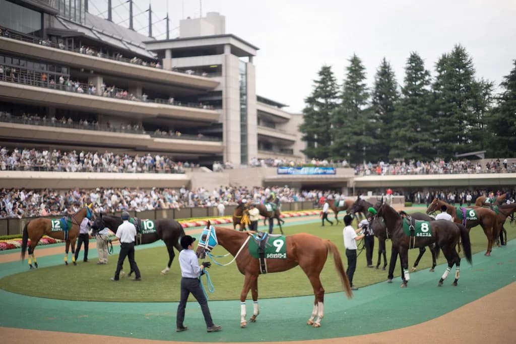 【目黒記念2019予想】ハンデ恩恵があるムイトオブリガード、得意の舞台で巻き返しなるか