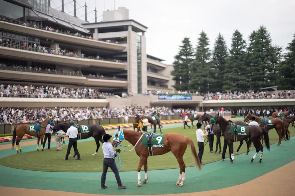 【京王杯スプリングC予想2018】東京1400mならこの馬!ビップライブリー、得意の舞台で重賞初V狙う