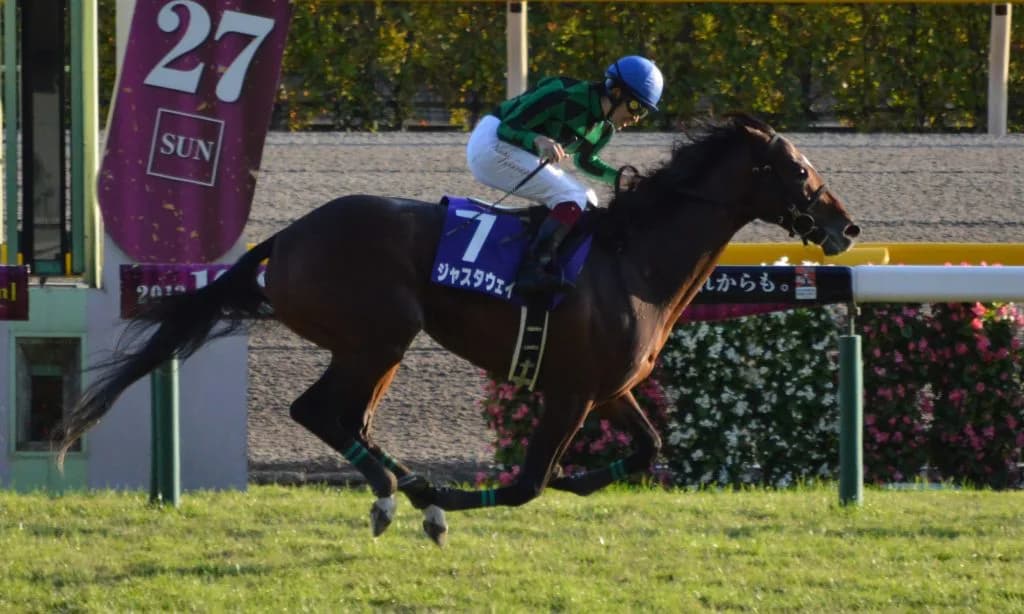 サンデー系の孫世代種牡馬でエース級の活躍を期待をしているジャスタウェイ