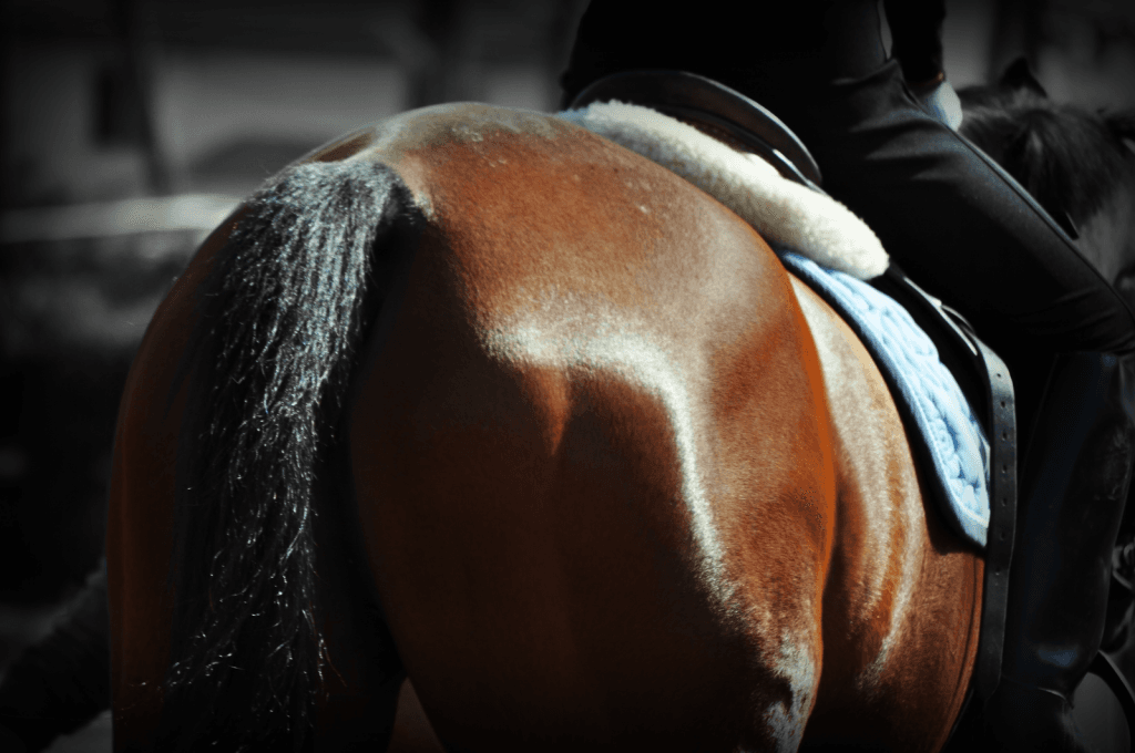 【ラジオNIKKEI賞2025予想】軽ハンデ馬が波乱の立役者に!53kg背負うスナークピカソに注目