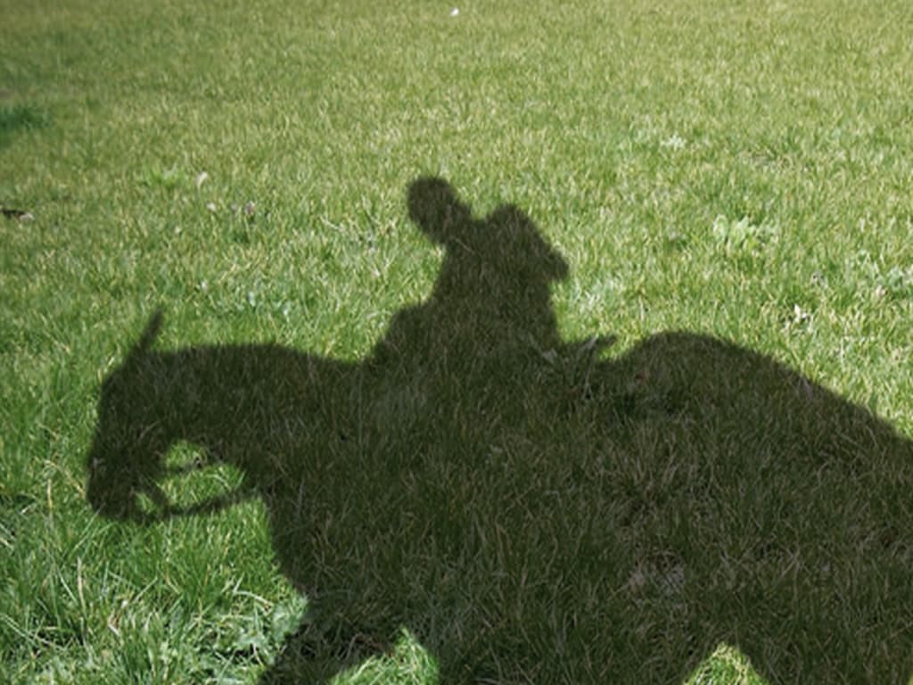 【アイビスサマーダッシュ2025】灼熱の新潟でスピード勝負!今年の千直王は誰の手に?