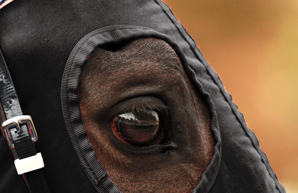 【ダービー卿CT予想2019】ダイアトニック、重賞初挑戦でも十分通用