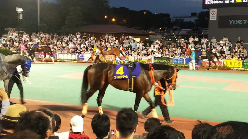 【チャンピオンズカップ2018】ゴールドドリーム回避、歩様に違和感