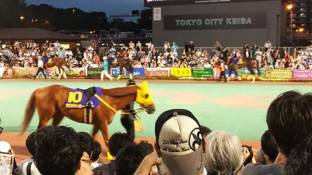 サウンドトゥルー衰え見せず、10歳にして7馬身差圧勝