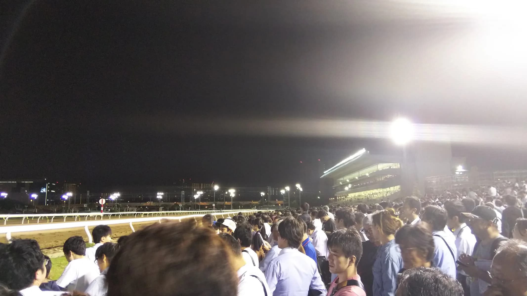 【帝王賞2022】連覇狙うテーオーケインズや昨年2着のノンコノユメなど選定馬が発表