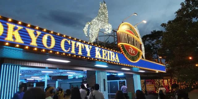 【東京大賞典2025予想】本当に今年最後のG1はこのレース!ミッキーファイトやナルカミなど出走予定馬を考察