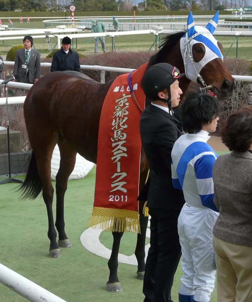 【注目新馬】ショウリュウムーンの初仔ショウリュウイクゾがデビュー