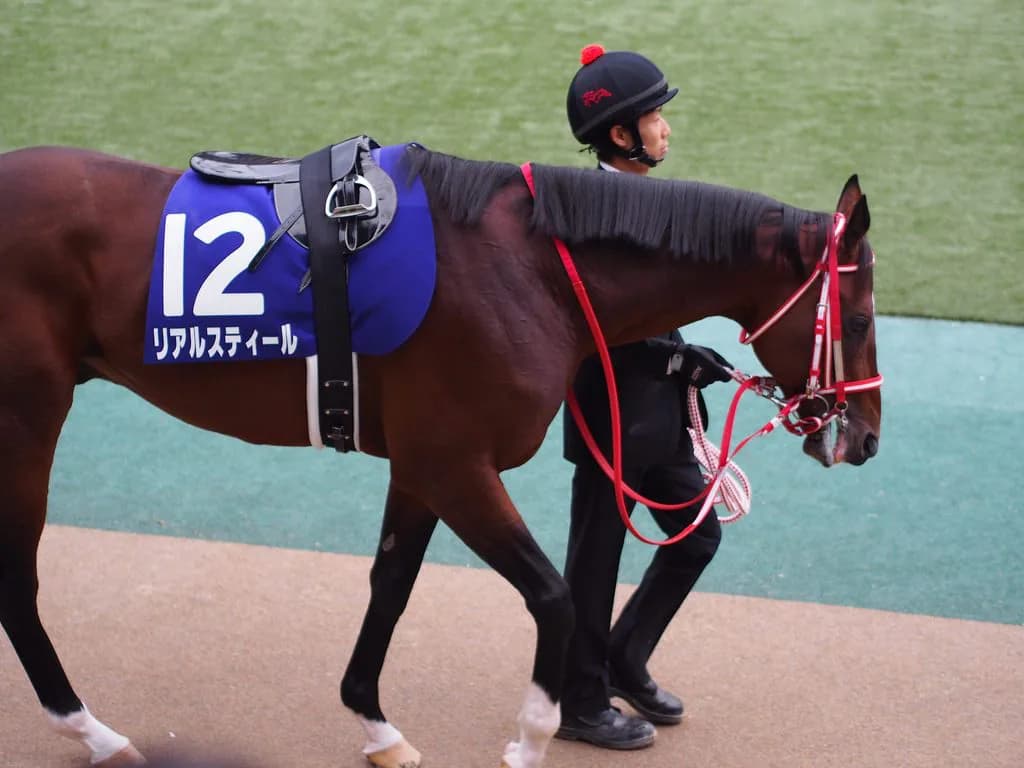 リアルスティール、引退。種牡馬へ