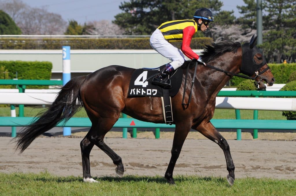 パドトロワ、産駒海外重賞初Vで飛躍の一年へ