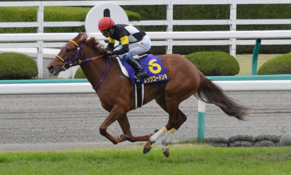 【キーンランドカップ2018予想】条件好転のレッツゴードンキに期待!