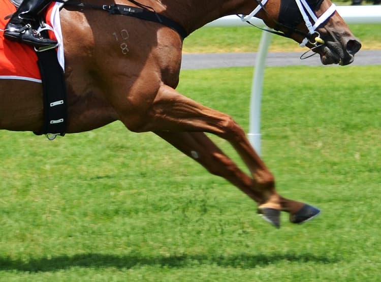 【天皇賞春2019予想】3頭の逃げ馬の取捨のポイントは?