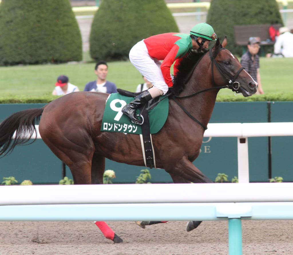 コリアカップ連覇のロンドンタウン、種牡馬として奮闘中