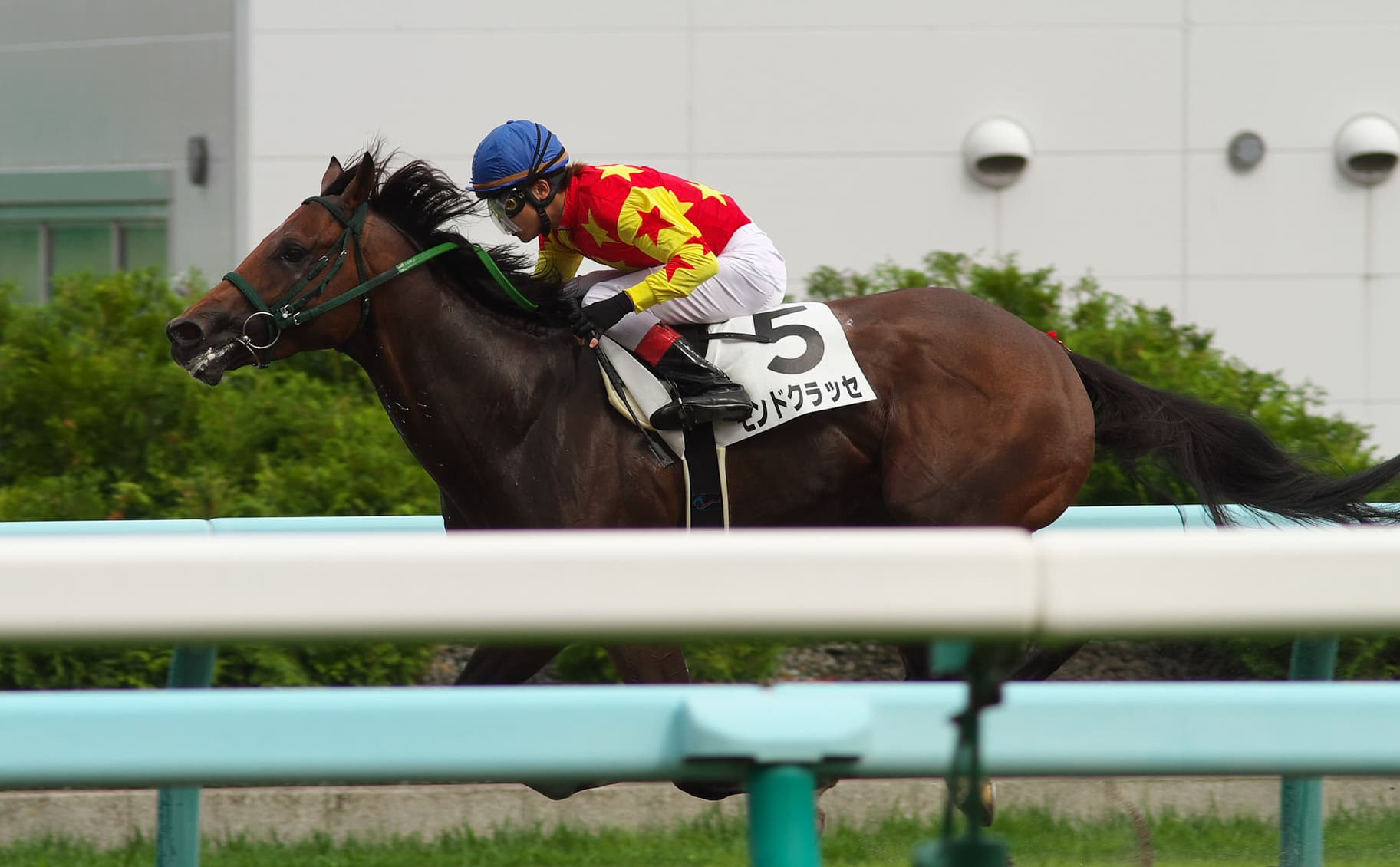 【エルムステークス2018予想】札幌で唯一3勝しているモンドクラッセが穴を開けるか?!