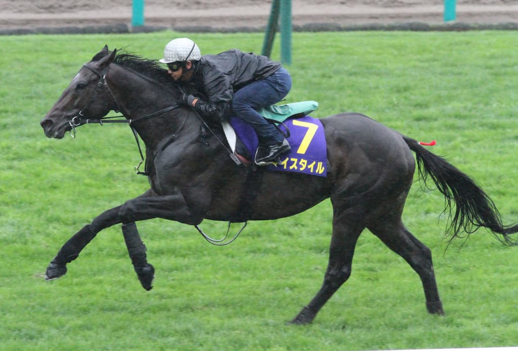 【中日新聞杯2018予想】マイスタイル、押さえは必須