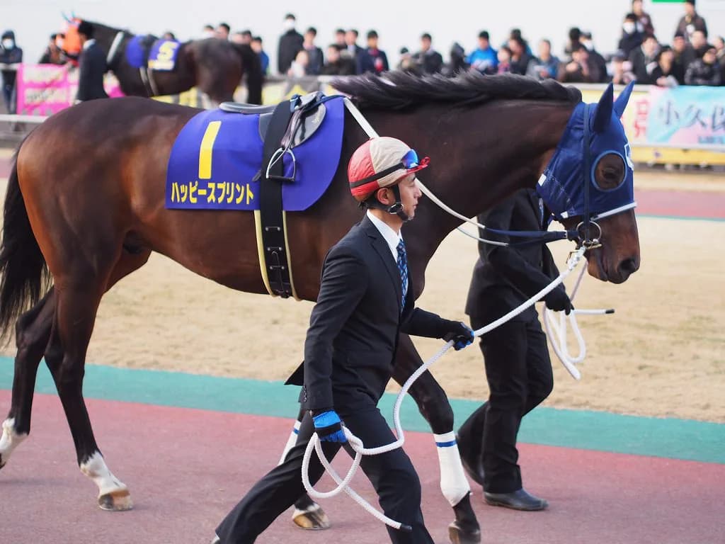古豪ハッピースプリント、古巣北海道で復活Vも本調子はまだ先か
