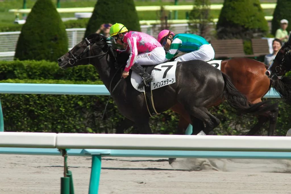 【シリウスS予想2018】先行激化で注目したい追い込み馬クインズサターン