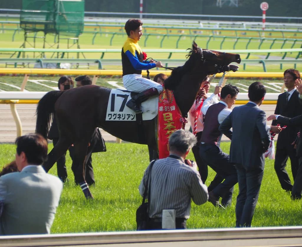 【神戸新聞杯2018予想】ワグネリアン、ひと夏越して体も一段と成長
