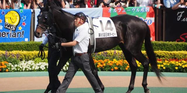 【神戸新聞杯2018予想】唯一の1勝馬エタリオウが、ダービー4着の力を見せつけ2勝目を飾るか!