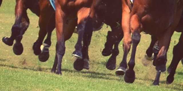 【ローズS予想2018】巻き返しに燃える馬たち