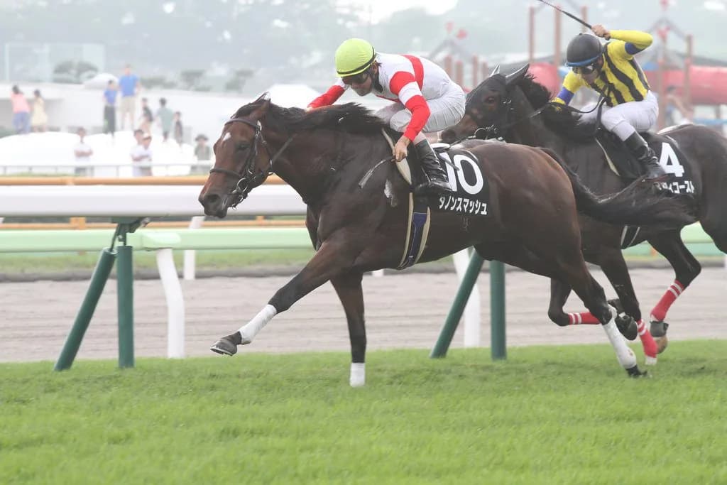 【京阪杯2018予想】主役不在で大混戦!各馬一長一短で波乱必須か