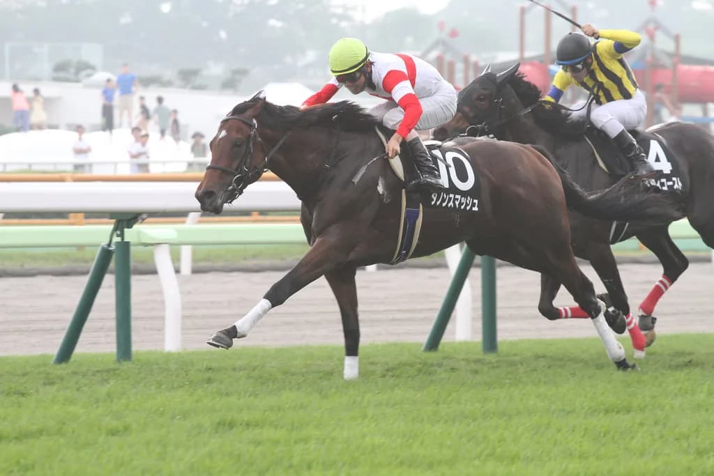 【京阪杯2018予想】主役不在で大混戦!各馬一長一短で波乱必須か