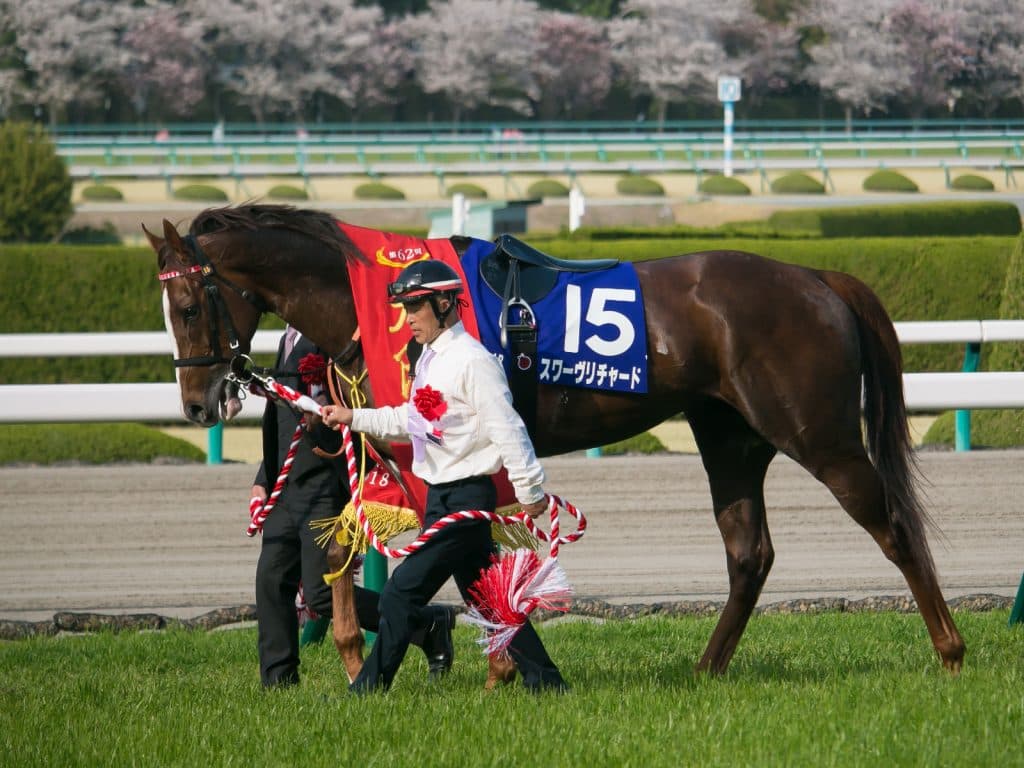 スワーヴリチャード引退、種牡馬に