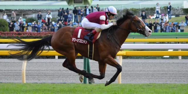 【キャピタルS予想2018】ゴドルフィン期待の3歳馬タワーオブロンドンが久々の戦線復帰へ