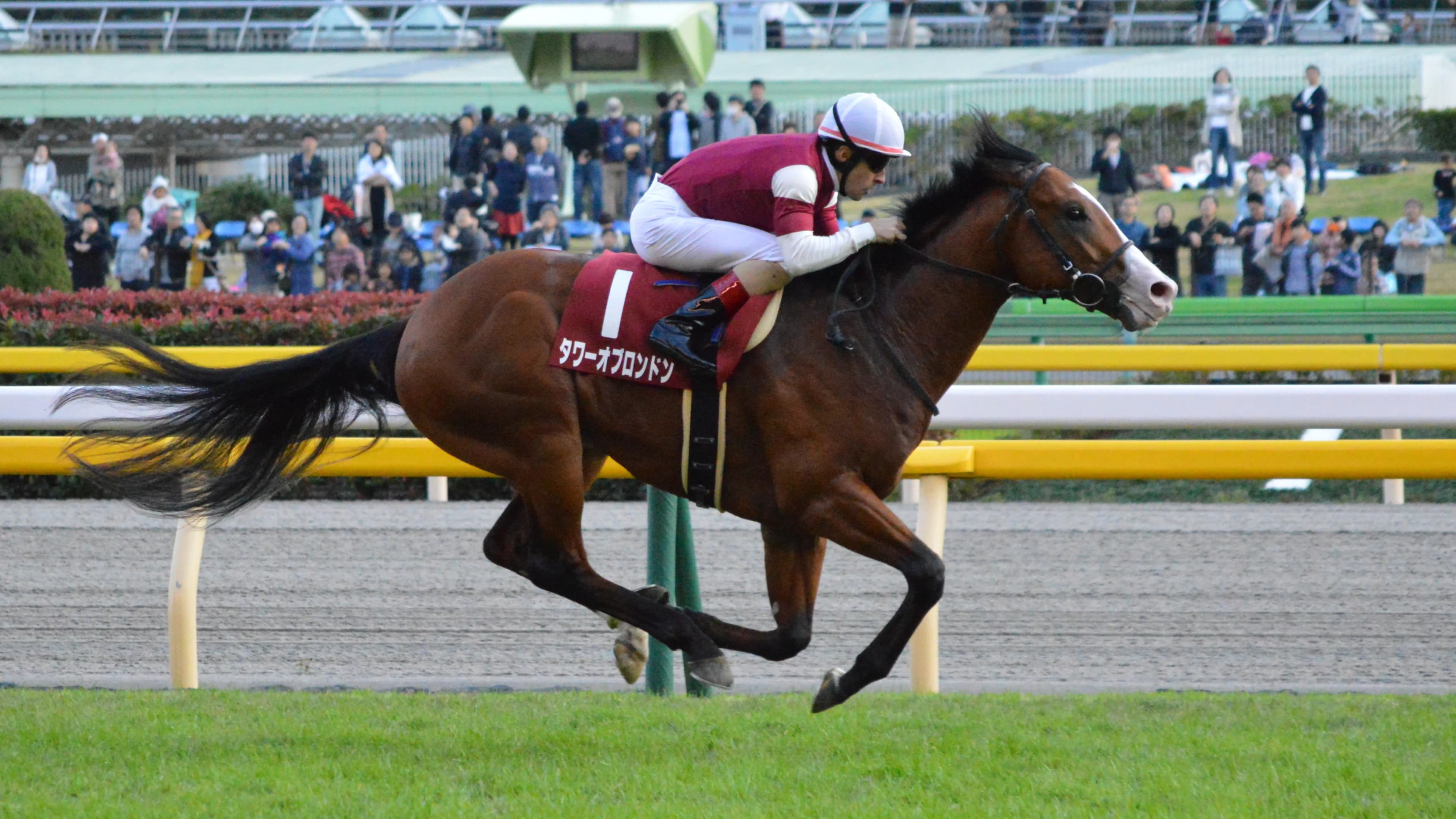 【キャピタルS予想2018】ゴドルフィン期待の3歳馬タワーオブロンドンが久々の戦線復帰へ