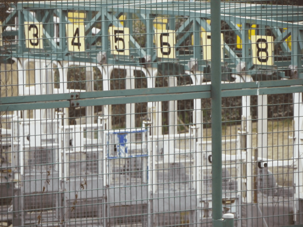 【JRAホープフルS2024】クロワデュノールやマジックサンズなど19頭が登録