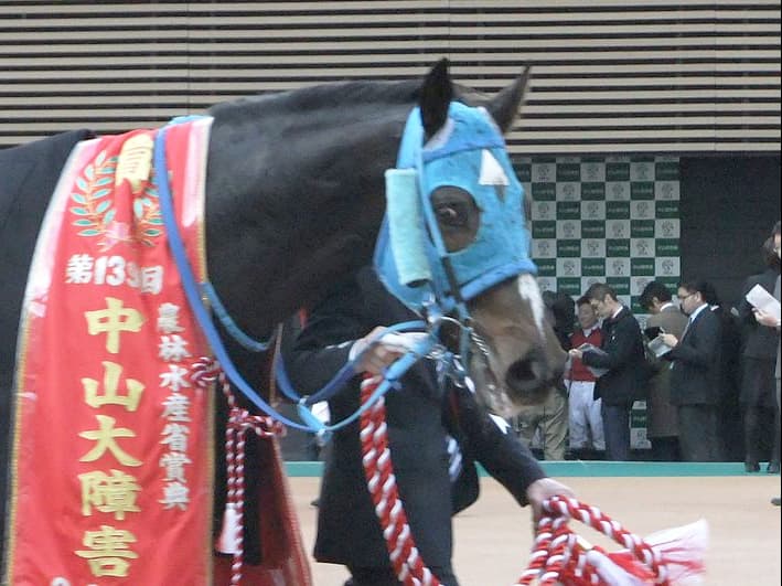 【阪神スプリングJ予想2019】オジュウチョウサン一本かぶりとなりそうな今回、狙い目は先輩2頭か?