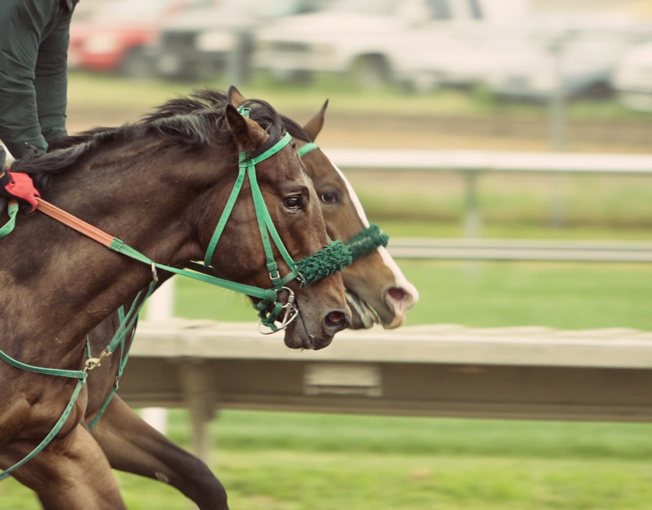 【注目新馬】超良血ラインベック、シュヴァルグランと併せ馬?