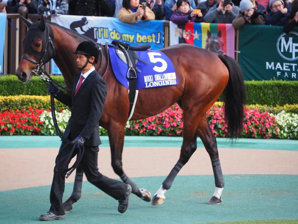 【有馬記念2018予想】ミッキースワロー、内回りでも問題なしか?