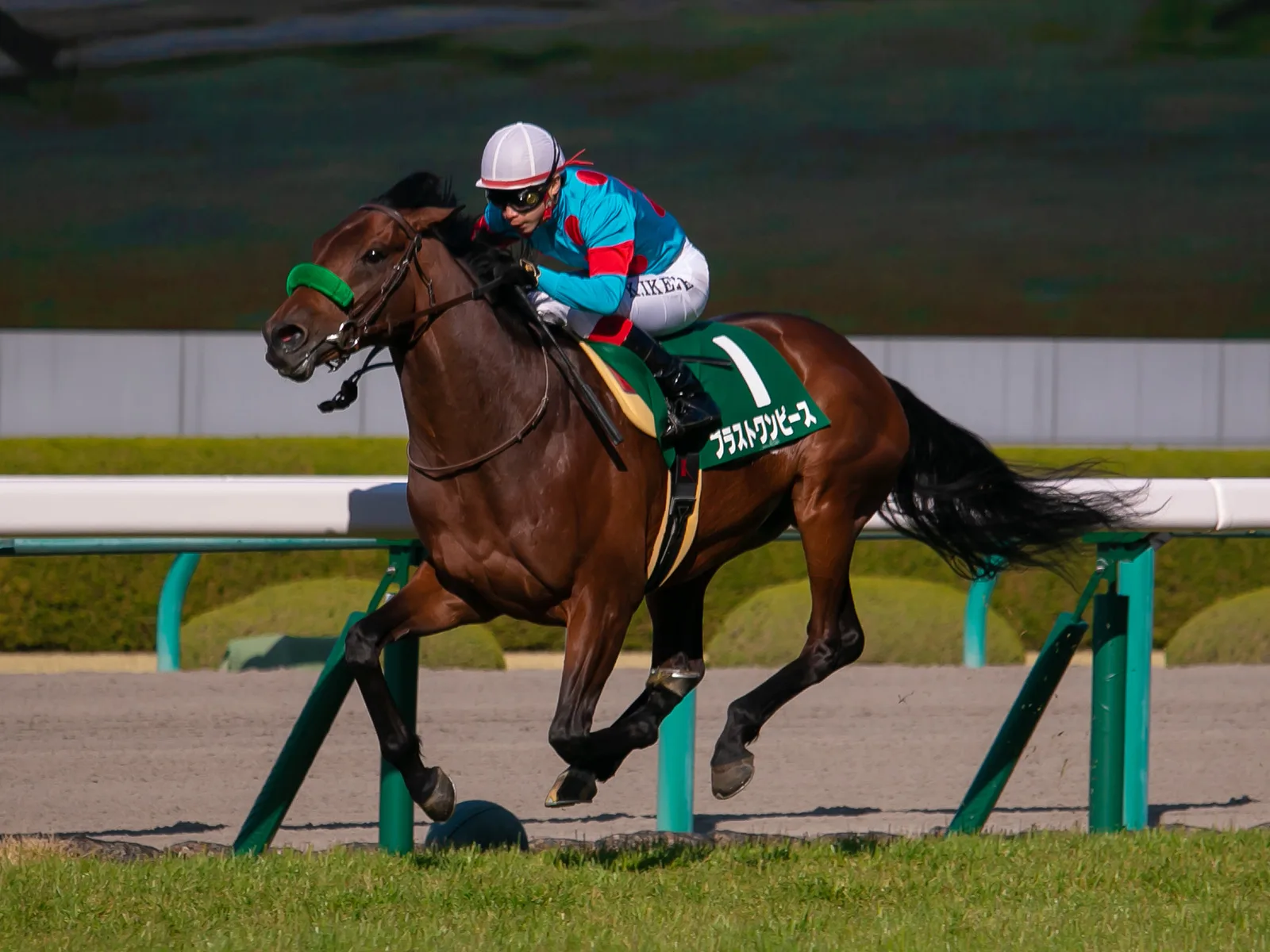 【有馬記念2018予想】ブラストワンピース、菊花賞の雪辱へ
