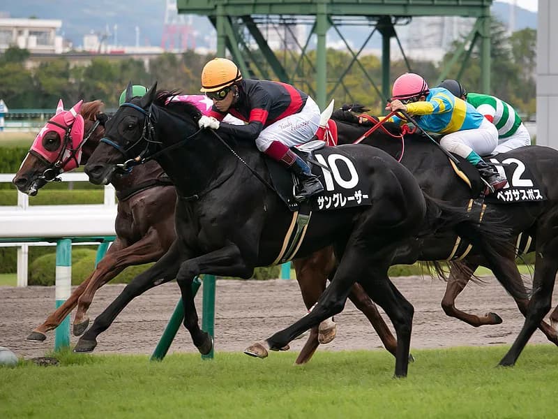 【香港カップ2018予想】G1取りの権利充分、サングレーザー