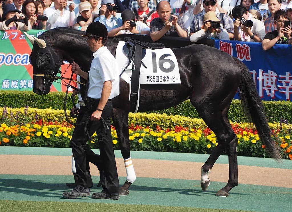 【AJCC予想2019】ジェネラーレウーノ、スタミナ生かすレースに期待
