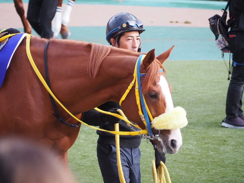 【日経新春杯2019予想】京都巧者のノーブルマーズ、1発ある